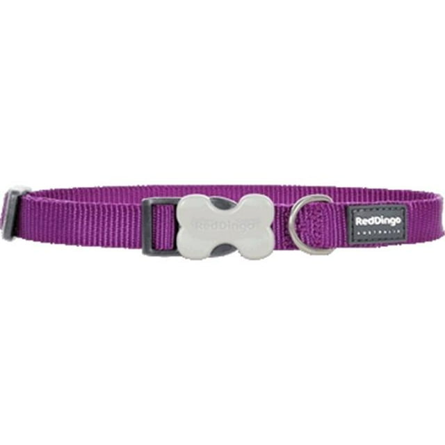 Red Dingo DC-ZZ-PU-LG Collier pour Chien Classique Violet - Grand