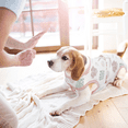 thumbnail image 4 of Kuoser Recovery Suit for Dogs Pet Body Suit After Surgery Cone E-Collar Alternative Anti-Licking Surgical Suit for Female Male Dogs Cats, 4 of 7