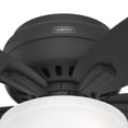 thumbnail image 2 of Hunter 42 inch Indoor Ceiling Fan with LED Light - Black Ceiling Fan with Pull Chain, For Bedroom or Living Room, Low Profile Mount, No Remote, 5 Blades, Includes Bulbs - Newsome 52394, Matte Black, 2 of 15