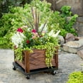 thumbnail image 4 of DeVault Enterprises 16" Square Plant Dolly Black - 500 lb. Capacity, 4 of 5