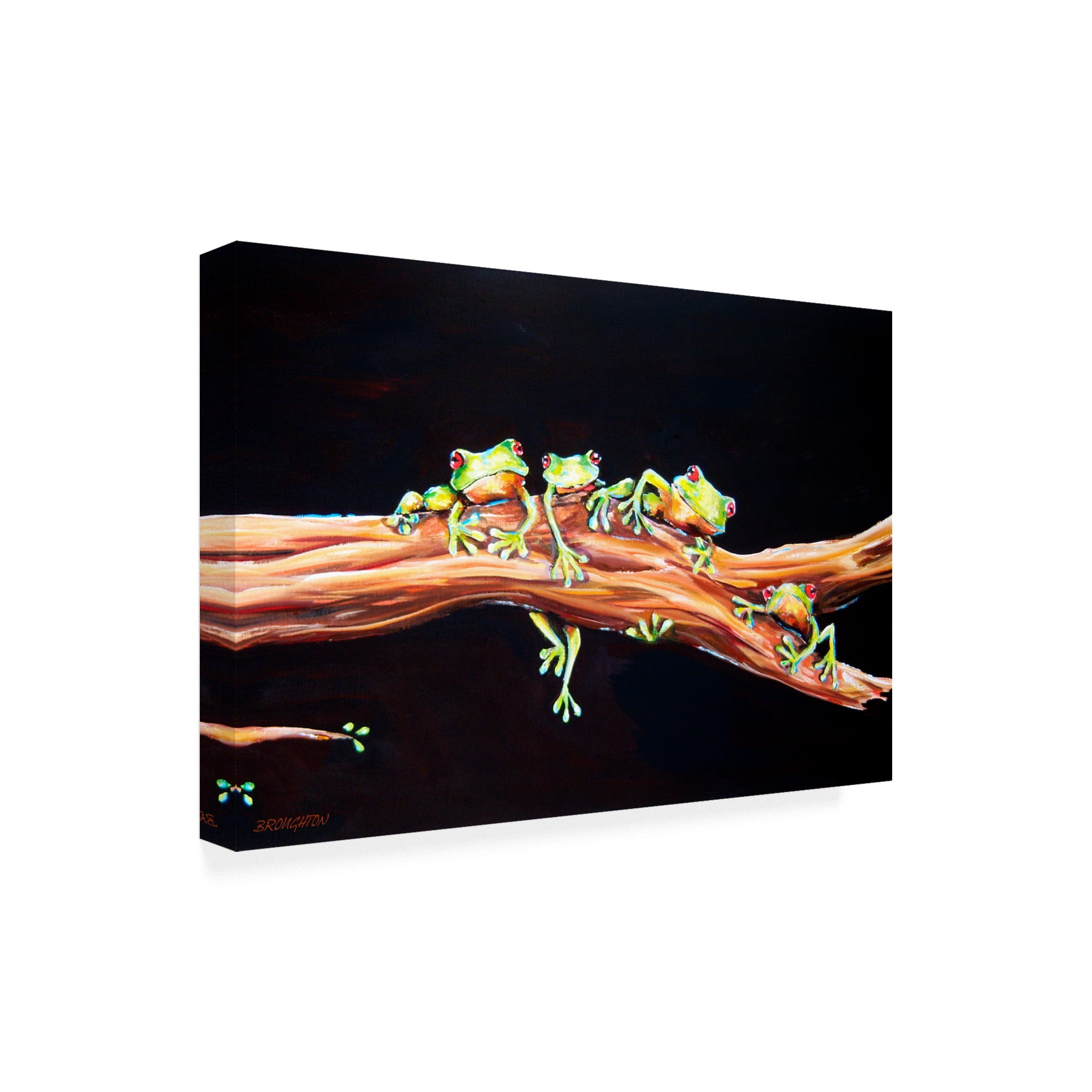 Trademark Fine Art 'Frog Froggie hood' Canvas Art by Deborah Broughton