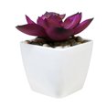 thumbnail image 1 of Nituyy Artificial Plant with Flowerpot Home Plastic Aloe Desktop Decor, 1 of 3