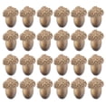 thumbnail image 1 of EeaseCA 50pcs Artificial Lifelike Small Acorn Photo Props False Nuts Home Kitchen Decor Dark Color, 1 of 7