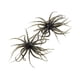 thumbnail image 3 of 2 piezas de pesca atrae a la pesca portátil con ganchos para perch bluegill lake Verde, 3 of 8