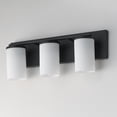 thumbnail image 7 of Lateral 3 - Light Satin Nickel/Silver Transitional Incandescent Glass And Steel Wall Sconce, 7 of 7