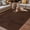 Brown, variant on Retro Beige Flowers Outdoor Rug for Patio/Deck/Porch, Non-Slip Large Area Rug 4 x 6 Ft, Rustic Abstract Floral Simple Art Indoor Outdoor Rugs Washable Area Rugs, Reversible Camping Rug Carpet Runner