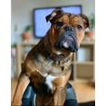 thumbnail image 2 of The Bestia "Aztec" Gray Leather Dog Collar for Large Dog Breeds, 2 of 7