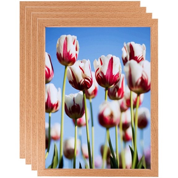 ArtToFrames 20" x 24" Red Oak Wood Picture Frame, 20x24 inch Brown Wood Poster Frame (WOM-4878), 4 Pack