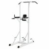 XMark Power Tower with Dip Station and Pull Up Bar - White