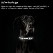 PetJoy Adjustable Dog Collar with Buckle, Replacement Collar Strap for Shock Collar ,Dog Collar for Small Medium Large Dogs