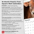 thumbnail image 6 of Baby Moo Moos | 2026 12x24" (Hanging) Square Wall Calendar | Plastic-Free, 6 of 9