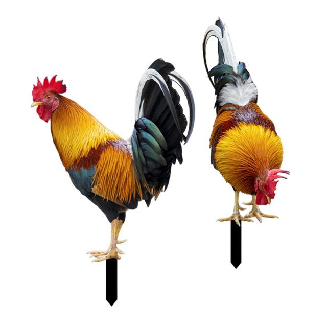 relayinert Statue d'Animal Poulet Piquets Acrylique Réaliste AB Patio pour Déco Cour Cour Style Style AB