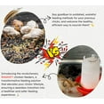 thumbnail image 6 of Ragnify Chicken Feeder & Waterer Set - Rainproof 1Kg Feeder & 1.5L Waterer with Adjustable Legs (Small), 6 of 6