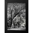 thumbnail image 2 of Hausenflock, Alan 13x18 Black Modern Framed Museum Art Print Titled - Four Trees, 2 of 5