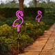 thumbnail image 1 of Luz solar para patio, paisaje, flamenco, cactus, luz de neón, luz LED para exteriores, luz de enchufe para suelo de césped, 1 of 4