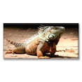 thumbnail image 1 of Cuadro Canvas Listo Para Colgar Tipo Galería Iguana 30X60 cm Pixtreats, 1 of 4