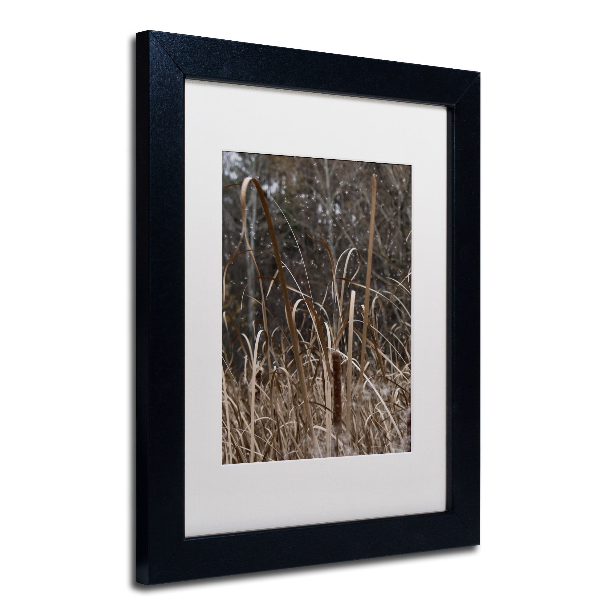 Trademark Fine Art "Cattail Seeds in Flight" Canvas Art by Kurt Shaffer, White Matte, Black Frame