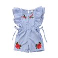 thumbnail image 1 of Toddler Kids Baby Girl Flower Stripe Ruffle Romper Jumpsuit Outfits Clothes, 1 of 7
