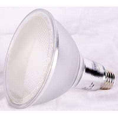 Led 16w Par38 5000k Dim Med Bs