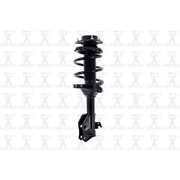 Suspension Strut and Coil Spring Assembly