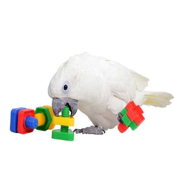 4 PCs Bird Chewer Chewing Block Toys Set，Parrots Foot Talon Screw Toys，Parakeet Coloured Plastic Nuts Bolts Shaped Toy，Bird Cage Playpen Play Gym Grinding Beak Toy for Cockatiel African Grey Cockatoo