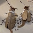 thumbnail image 6 of Cat Cockroach Clothing DIY Kit, Funny Cockroach Kitten Pet Cape Craft Set, Kitten Costume Accessories with Wings and Antenna, Cosplay Halloween Party Decoration for Cats and Small Dog(1Pc), 6 of 7