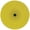Foam Cut Buff Pad, variant on Wizards 21 DA Wool Cutting Pad – 6" Fast-Cutting Wool Pad with Velcro Backing | Compatible with 21 Big Throw Polisher & Mystic Cut