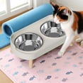thumbnail image 4 of Comedero Doble Para Gatos Comedero Con Inclinación Para Agua Y Comida Comedero Integrado De Acero Inoxidable Para Gatos Y Comedero Para Agua Y Comida, 4 of 5