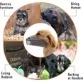 thumbnail image 3 of Dog Mask Soft Nylon Face Mask (Grey, Small) - Adjustable Breathable Mesh Mask, Dog Face Mask, Anti-Bite, Anti-Bark & ​​Mouth Cover, 3 of 5
