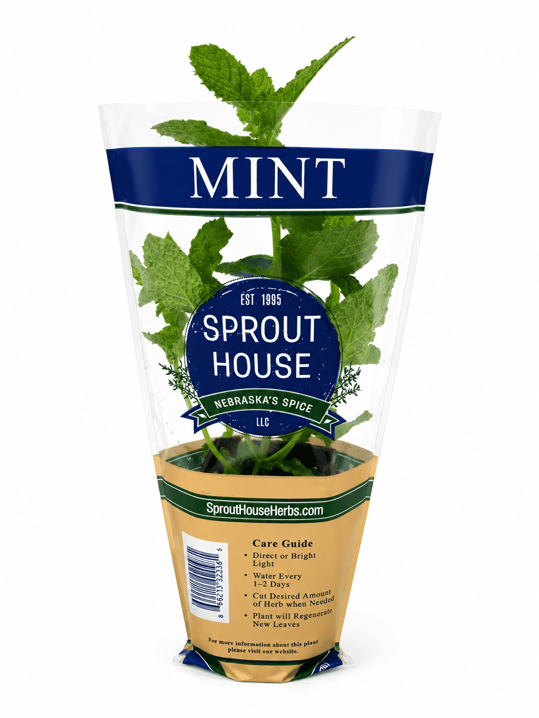 Fresh Potted Mint, 1 Each
