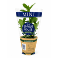 thumbnail image 7 of Fresh Potted Mint, 1 Each, 7 of 7