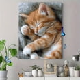 thumbnail image 4 of Qisvanset Cute Ginger Kitten Sleeping Canvas Wall Art 15.75x11.81 Inches, 4 of 8