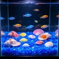 thumbnail image 5 of Ke1Clo Glow in The Dark Aquarium Pebbles, 100 Pcs Fluorescent Stones Substrate Decor, Luminous Aquascaping Gravel for Fish Tank Vase Gardening, Purple, 5 of 6