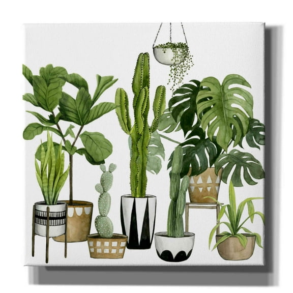 Epic Graffiti 'Plant Haven I' by Grace Popp, Canvas Wall Art, 12"x12"
