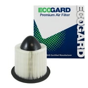 ford f-150 air filter