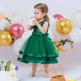 thumbnail image 4 of WOYY Newborn Girls Wedding Party Princess Dress Sleeveless Pageant Gown, Sizes 0-18M, 4 of 8
