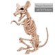 thumbnail image 3 of Juguetes de Halloween murciélagos de terror esqueleto modelo realista YONGSHENG, 3 of 4