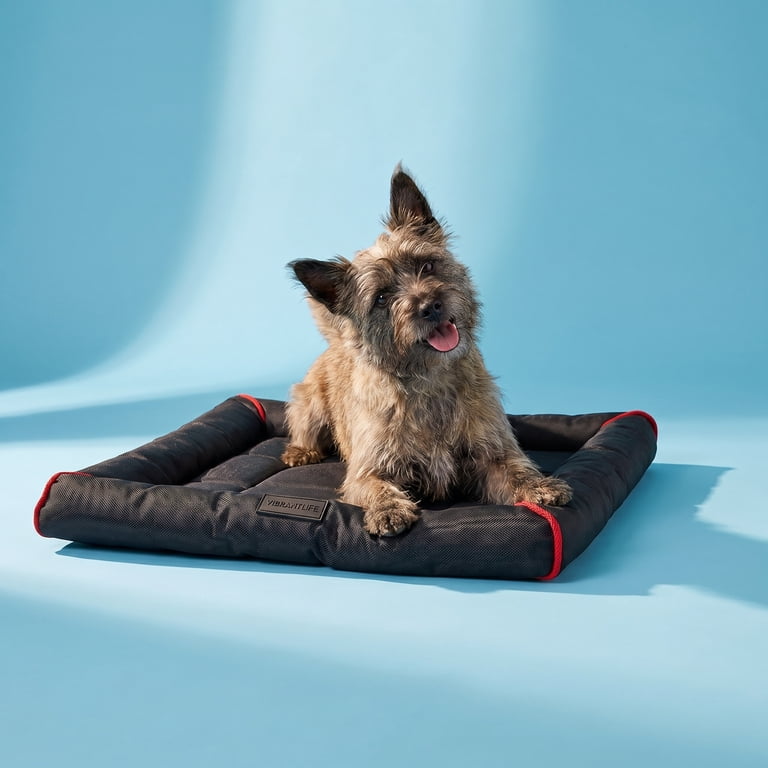 Vibrant Life Small Crate Mat, Black, Durable, Water-Resistant