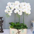thumbnail image 6 of CoreLiving Artificial Orchid Flowers 1-Piece Real Touch White Branch Faux Butterfly Orchid Simulation Plant for Ceremony Party Patio Yard and Restaurant Decor, 6 of 8