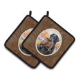 thumbnail image 1 of Carolines Treasures 7032PTHD Paire de Porte-Pots à Revêtement Plat Retriever, 1 of 3