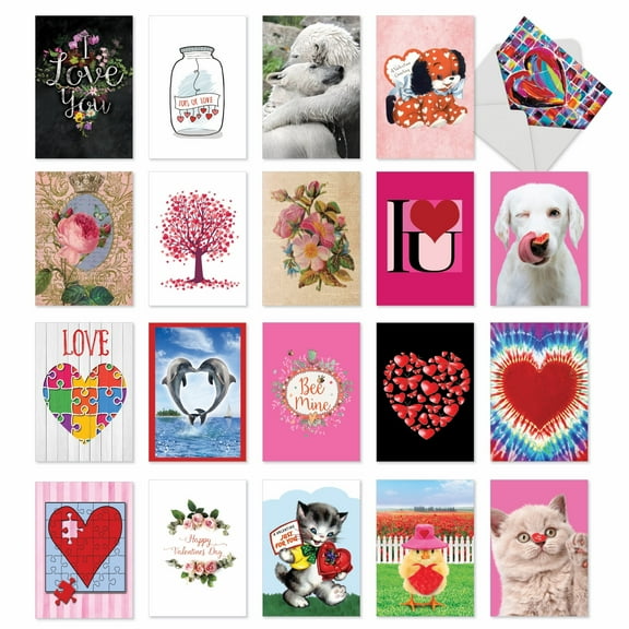 NobleWorks 20 Assorted Box Set Valentine's Day Greeting Cards w/5 x 7 Inch Envelopes (20 Designs, 1 Each) Lots of Love AC10356VDG-B1x20
