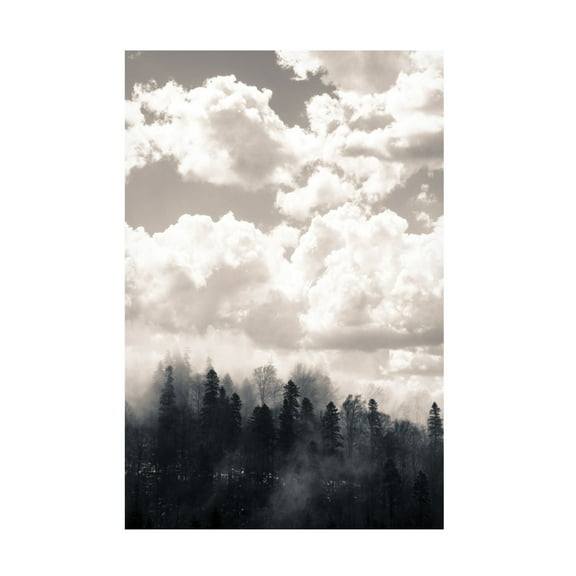 Canvas Wall Art - Decent Exposures 'Fog 1' Wall Art for Living Room, Bedroom, or Office Décor by Trademark Fine Art - 12 x 19 Inches