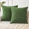 thumbnail image 1 of HAYANPack of 2 Couch Throw Pillow Covers 20x20Inch Soft Moss Green Spring Chenille Pillow Covers for Sofa Living Room Solid Dyed Pillow Cases, 1 of 1