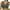 Gray Green, variant on MINTREUS Women's Sports Bra Moderate Support Wide Strap Mesh Breathable Fitness Workout Yoga Bra