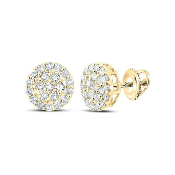 Macey Worldwide Jewelry 10k Yellow Gold Mens Diamond Earrings 1/4 Ctw