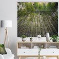 thumbnail image 3 of Design Art - Bamboo forest of Kyoto Japan., 3 of 5