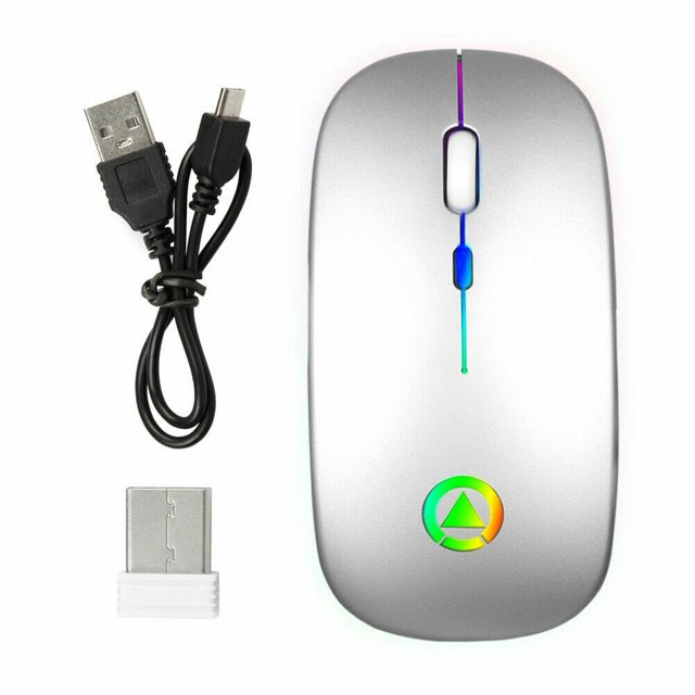 Souris Optique Sans Fil 2.4GHz USB Rechargeable RGB Sans Fil pour PC Portable (Argent)