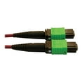 thumbnail image 3 of Eaton Tripp Lite Series 400G Multimode 50/125 OM4 Plenum-Rated Fiber Optic Cable, 16F MTP/MPO-APC (F/F), Magenta, 3 m - Network cable - MTP/MPO/APC multi-mode (F) to MTP/MPO/APC multi-mode (F) - 3 m - fiber optic - 50 / 125 micron - OM4 - plenum - black, magenta, green, 3 of 3