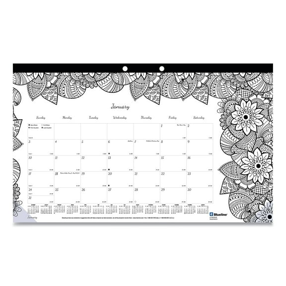 Blueline DoodlePlan Calendar C2917001