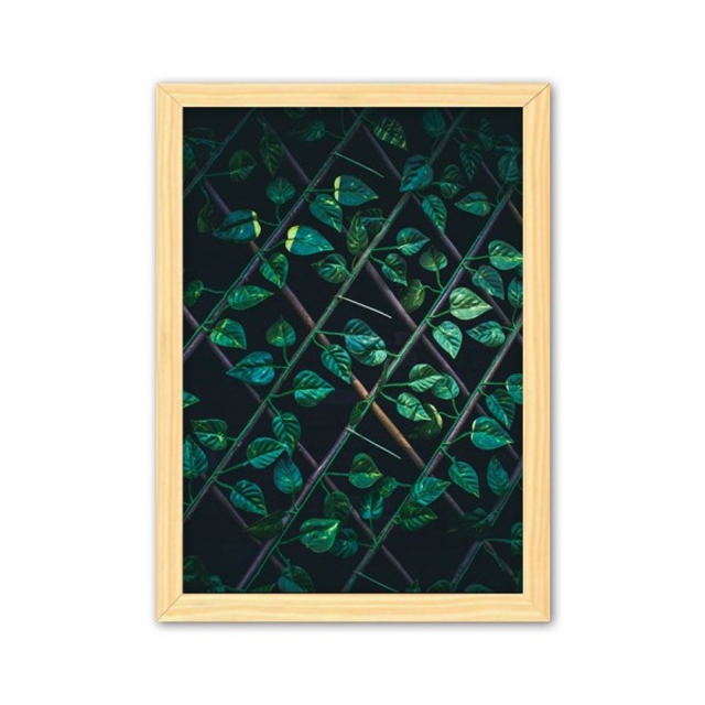 Planta de hoja de foto naturaleza Dewdrop Cuadro de madera decorativa marco de casa A4